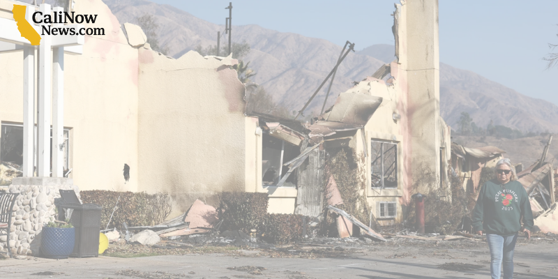 Free Soil Lead Testing Offered to LA Residents Affected by Eaton Fire Fallout