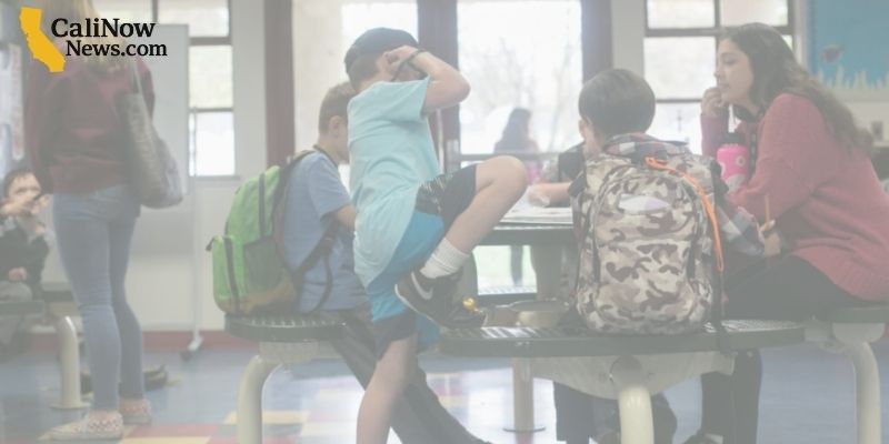 California Sees 9% Spike in Homeless Students as School Funding Declines